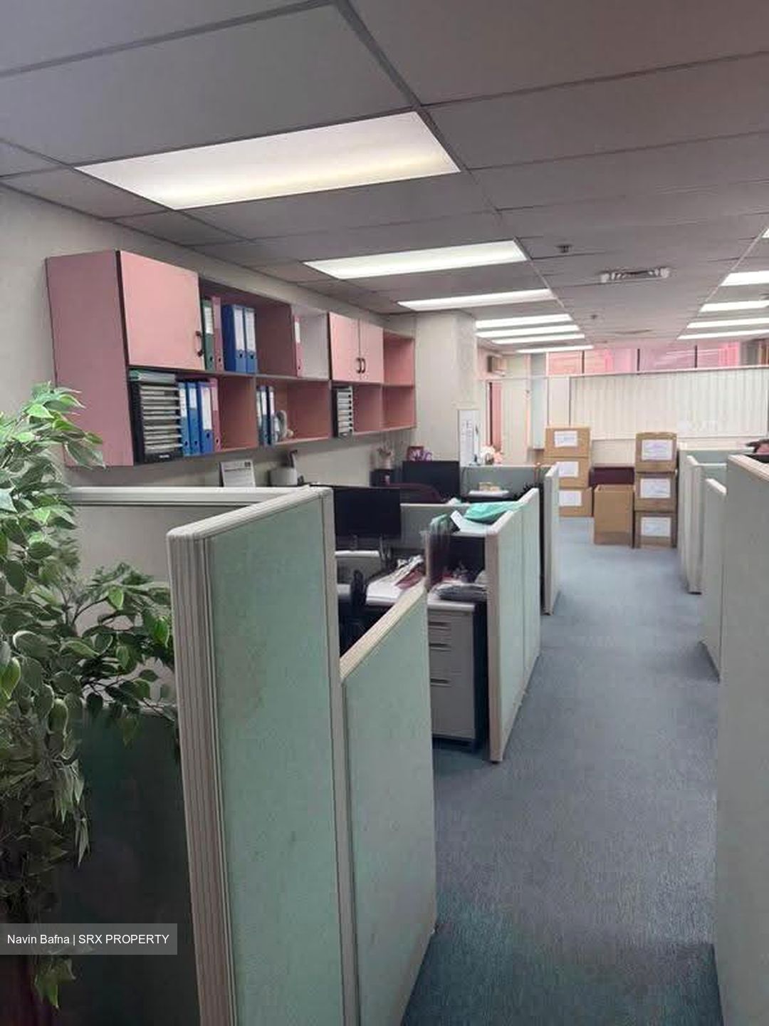 International Plaza (D2), Office #612796521